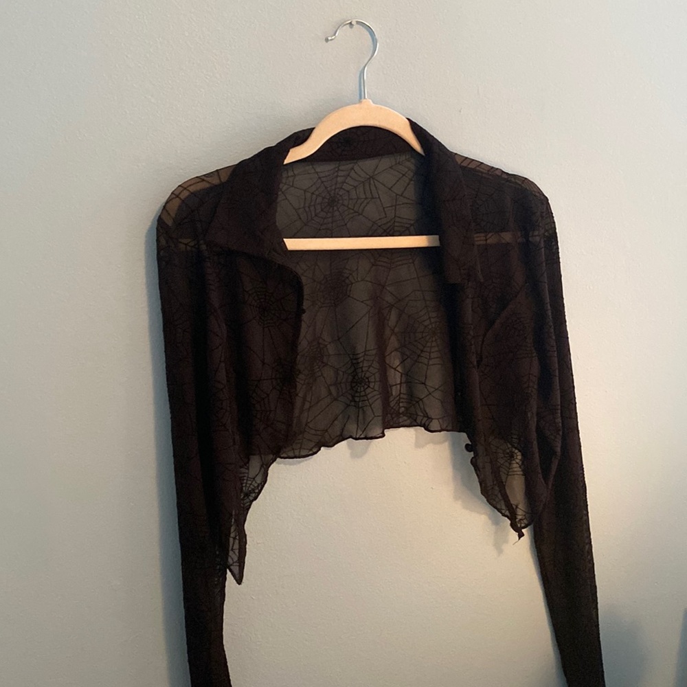 Mesh spiderwebbed detail cropped long sleeve top